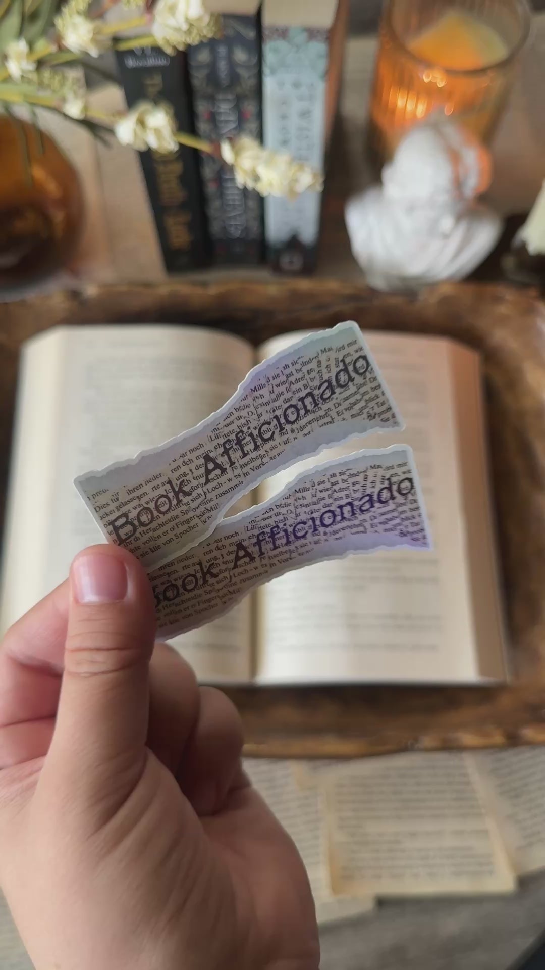 Book Aficionado Holographic Sticker | Dark Academia Aesthetic